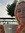 Thea Sandnes
