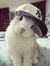 lily.th...