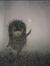 Andrey ...