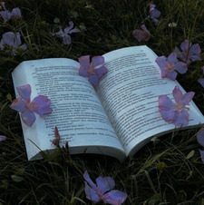 LavenderLibrary