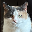 Mackenzie