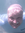 member photo member photo