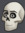 Skully McSkribbles