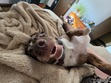 Jolie 