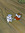 member photo member photo