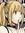reba ᧔ෆ᧓