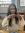Shreeya