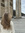 darcy ⋆˚࿔