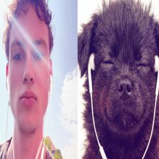 Linus