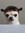nvrwlkln