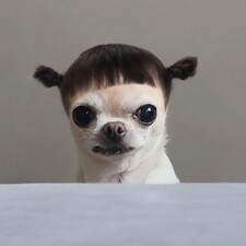nvrwlkln