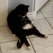 Sam