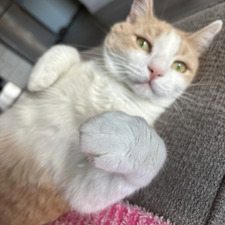Julie
