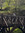member photo member photo