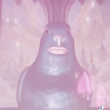 not usssd