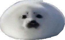 Kris