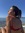 Mayte