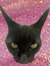 Ebony ☆