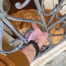 Uomo Luppolo