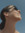 Athina Juge