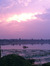 Olli