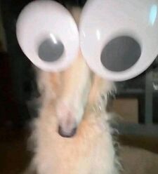 Malcolm