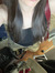Ainhoa ...