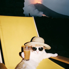 Natálie