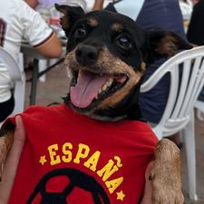 Marieta