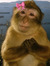 bbm0nki monkijustwannaread