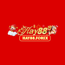 Hay88forex