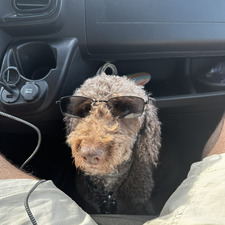 Sergio