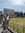 Fatma Dolaştır