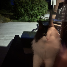 Mathilde