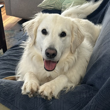 Casey