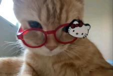 rubee !