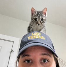 Katriel