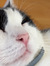 Caty