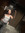 Ziva Cohene