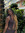 Analicia