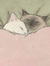 stella ✮⋆˙
