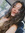Albi🦋 butterfly