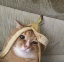 Robert