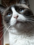 Melody