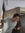 Shaurya