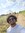 Janson Samuels