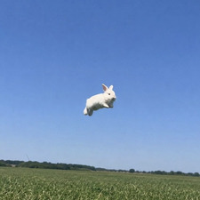 Rah