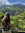 Léonie Rijnders