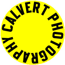 Calvertphoto