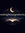 midnight margins books